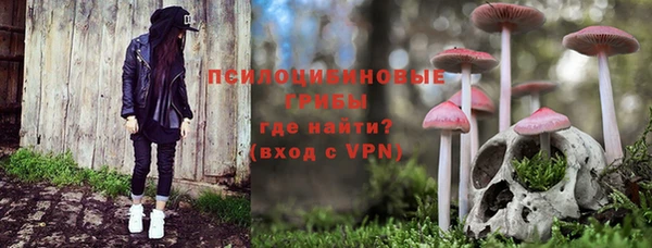 прущий лед Богородицк